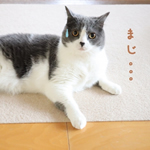 苦しい
